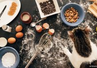 Cara Membuat Makanan Kucing Tanpa Ikan: Panduan Lengkap