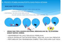 Contoh Hewan Fertilisasi Eksternal: Proses Pembuahan Luar Tubuh