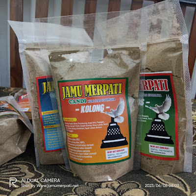 Cara Membuat Jamu Merpati Agar Terbang Tinggi: Meningkatkan Performa Burung Merpati dengan Bahan Alami