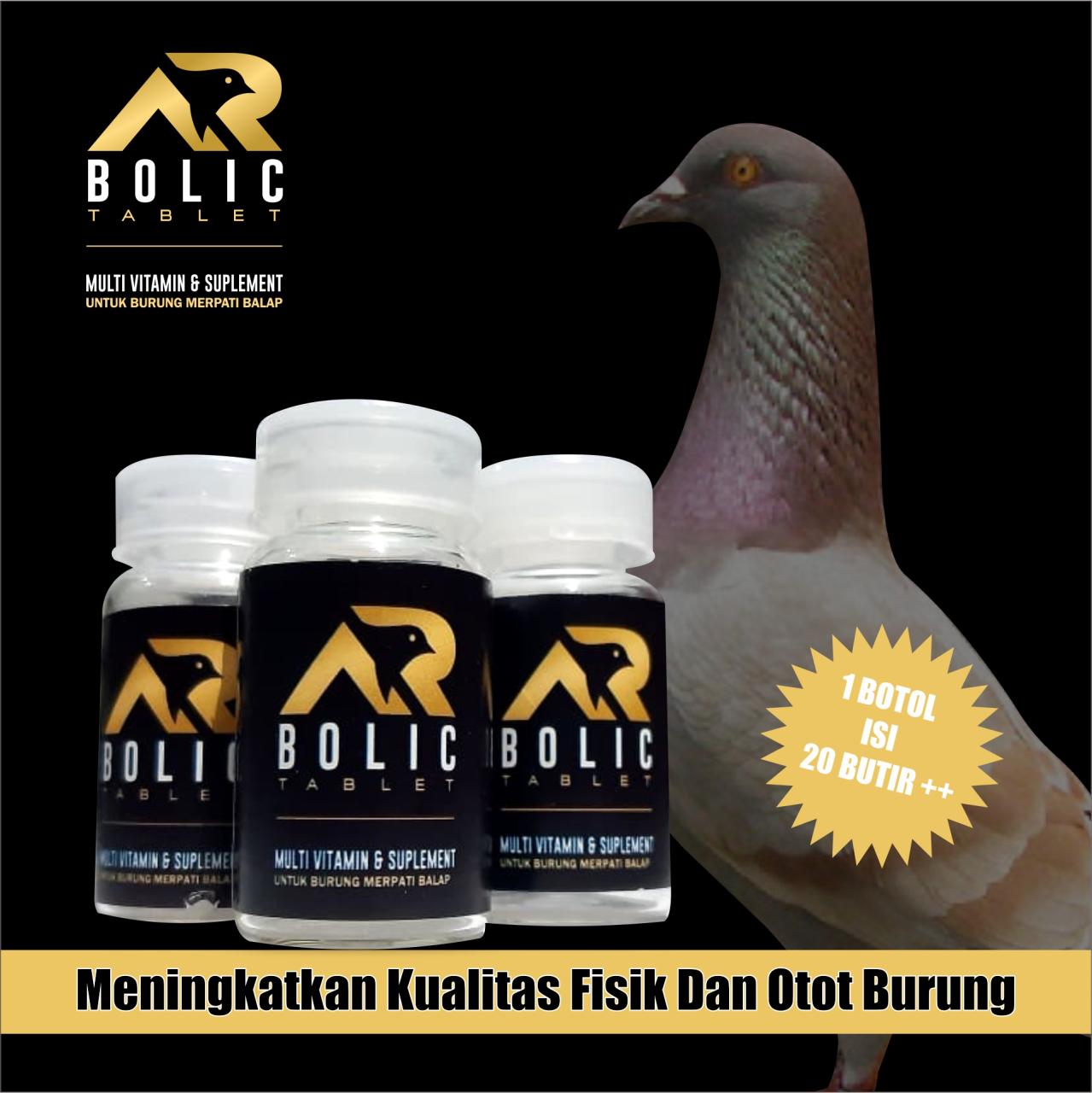 Menambah CC Merpati: Tips dan Trik untuk Meningkatkan Kemampuan Merpati Balap