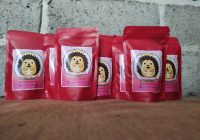 Vitamin Penting untuk Kesehatan Landak Mini