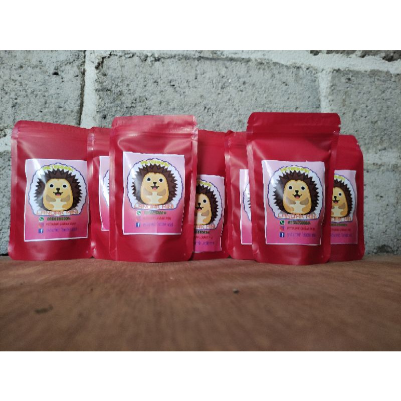 Vitamin Penting untuk Kesehatan Landak Mini