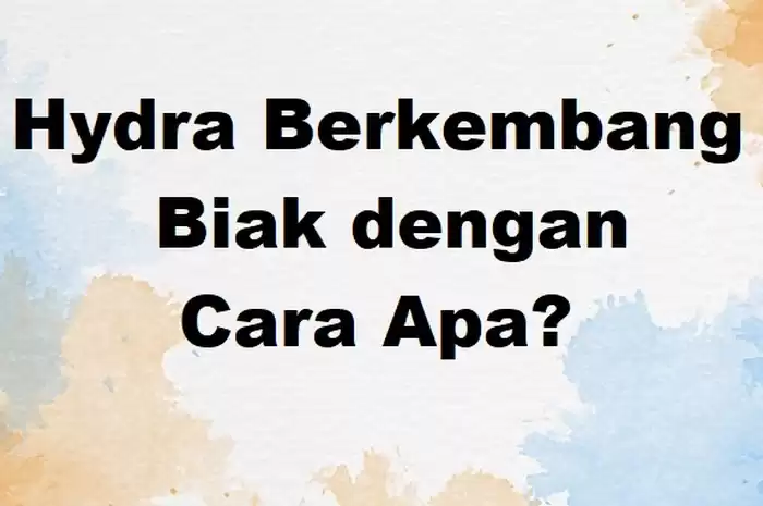 Judul: Hydra Berkembang Biak dengan Cara yang Unik dan Menarik