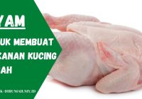 Cara Membuat Makanan Basah Kucing dari Ayam: Panduan Lengkap
