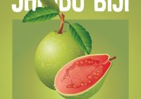 Manfaat Jambu Biji untuk Cucak Ijo: Meningkatkan Kesehatan dan Performance