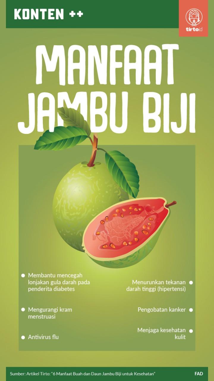 Manfaat Jambu Biji untuk Cucak Ijo: Meningkatkan Kesehatan dan Performance