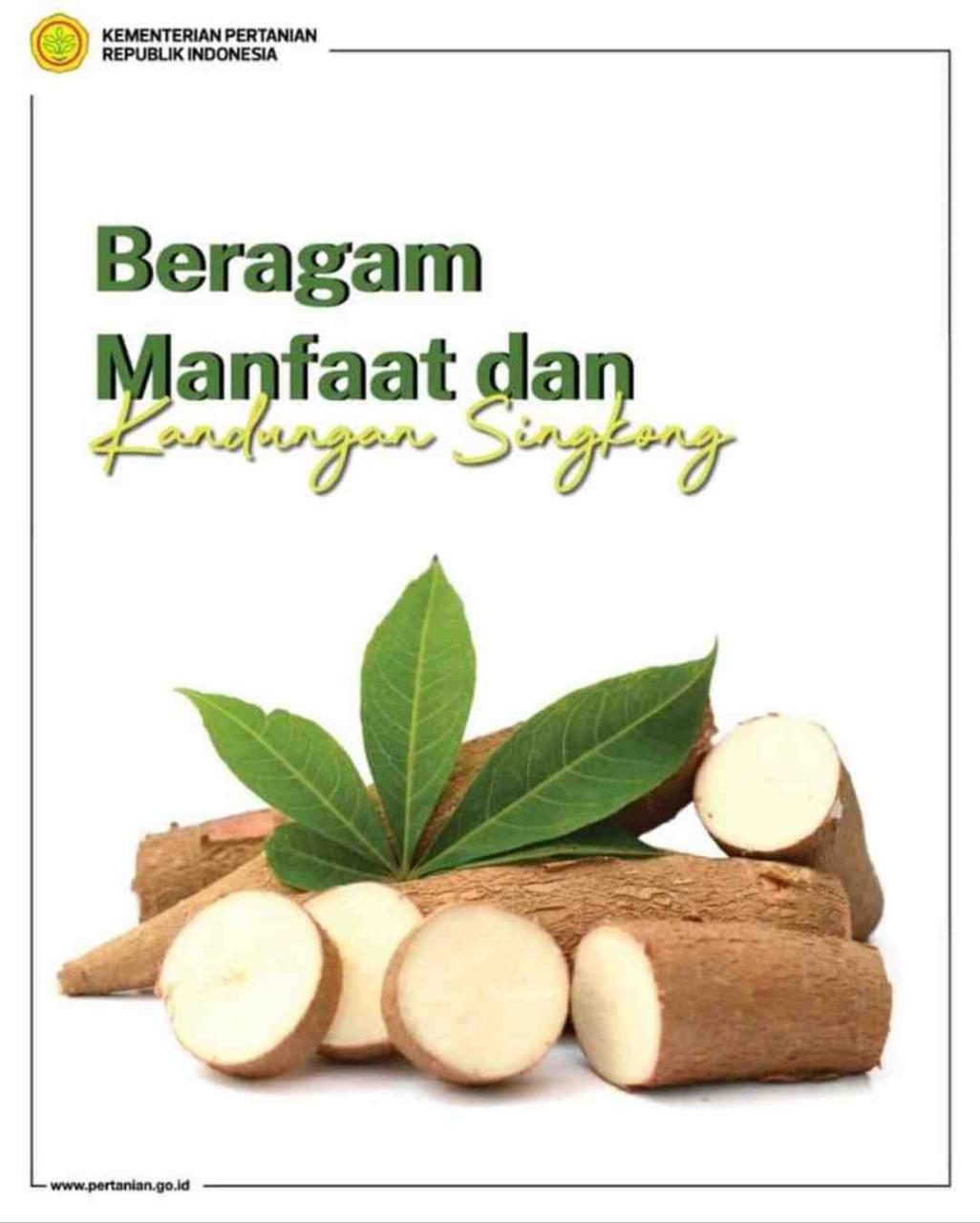 Manfaat Singkong untuk Jangkrik: Meningkatkan Kualitas dan Produktivitas