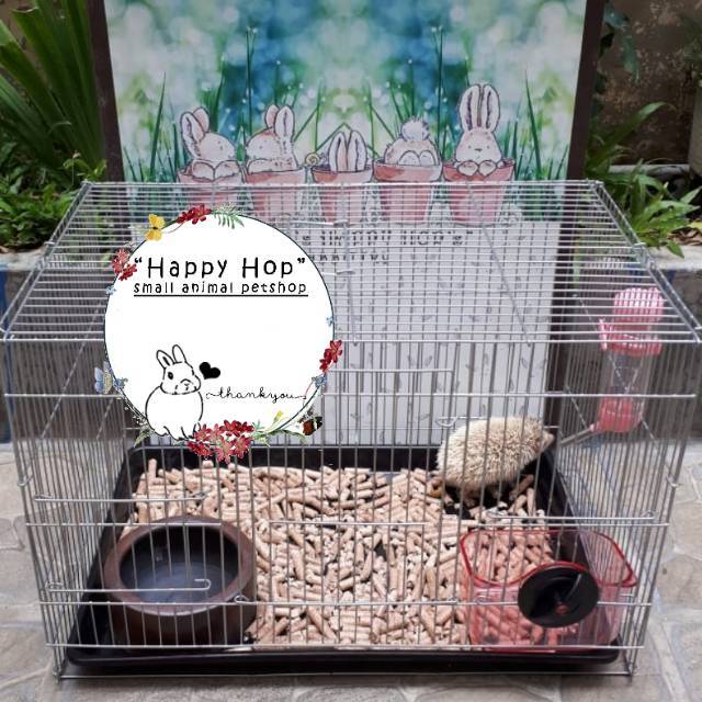 Kandang Landak Mini yang Baik: Desain dan Tips Membuatnya