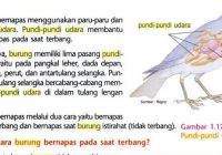 Fungsi Burung Emprit: Lebih Dari Sekedar Hewan Peliharaan