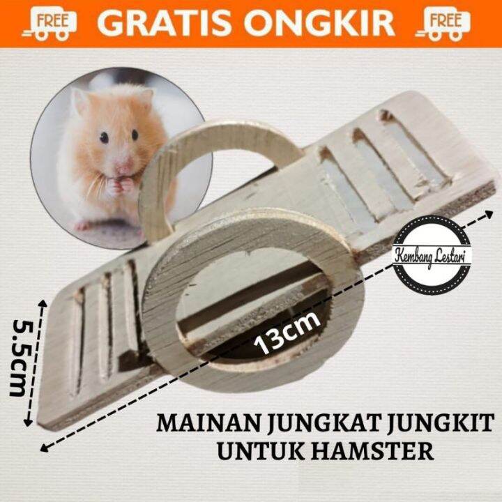 Mainan untuk Landak Mini: Panduan Memilih dan Membuat Mainan yang Tepat