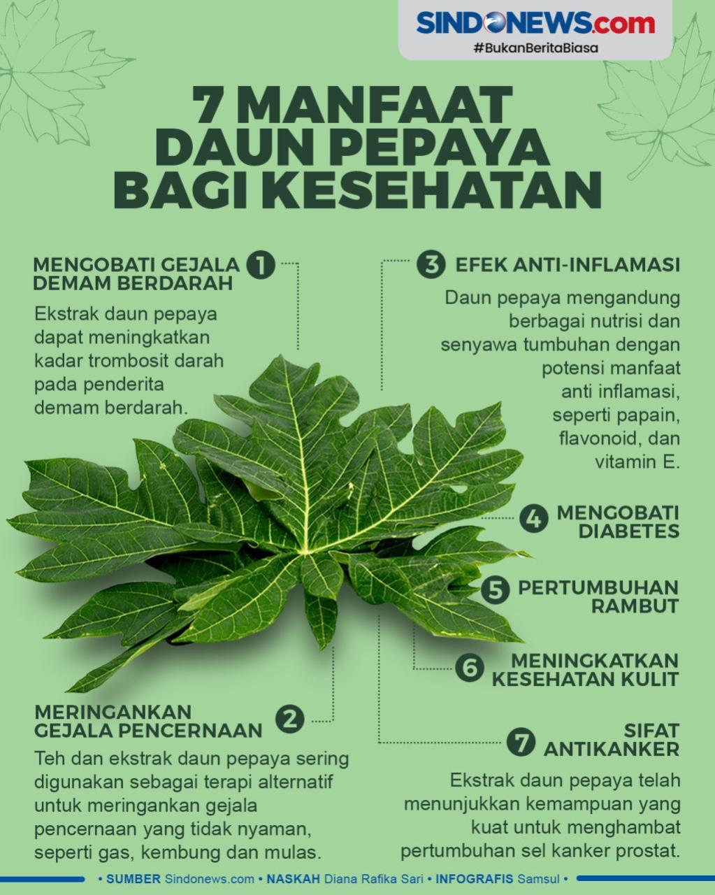 Manfaat Daun Pepaya untuk Jangkrik: Meningkatkan Kesehatan dan Produktivitas