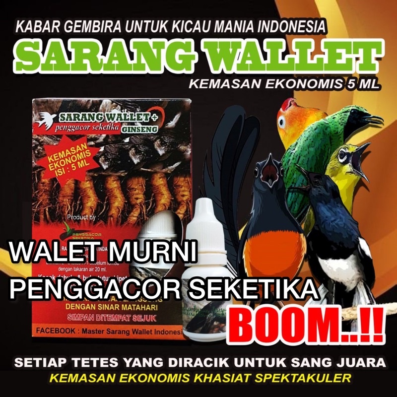 Harga Burung Emprit Warna Warni: Informasi Lengkap dan Terupdate