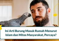 Firasat Burung Emprit Masuk Rumah: Pertanda Baik atau Buruk?