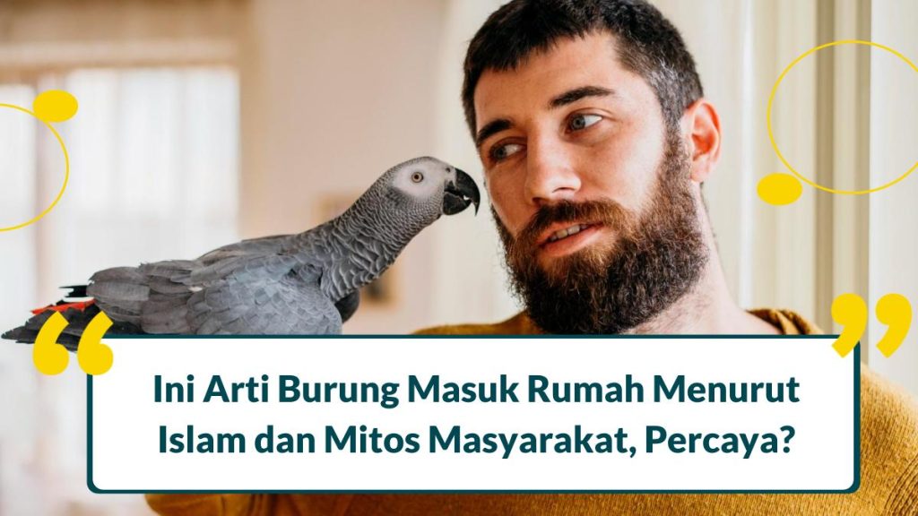 Firasat Burung Emprit Masuk Rumah: Pertanda Baik atau Buruk?
