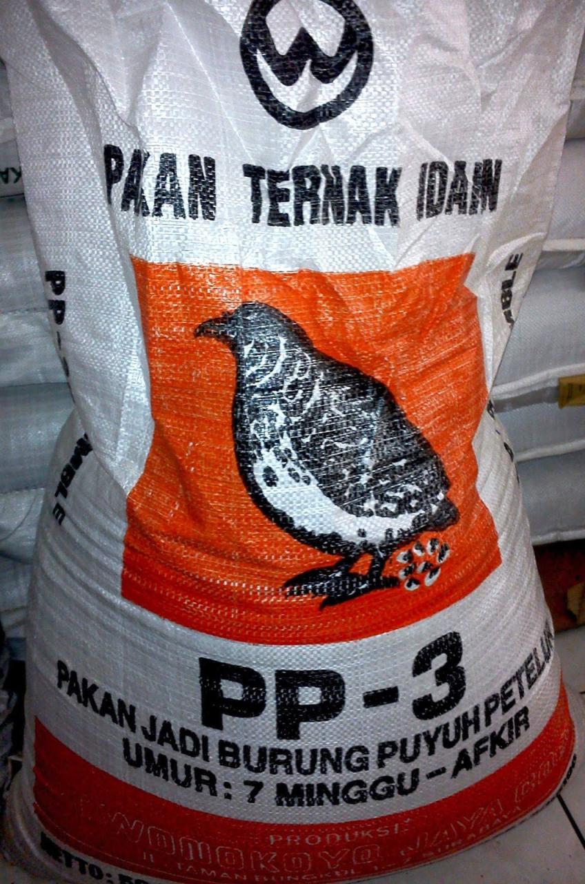 Pemberian Pakan Burung Puyuh: Panduan Lengkap untuk Pemeliharaan yang Sehat
