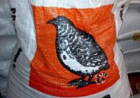 Pakan Burung Puyuh: Panduan Lengkap untuk Meningkatkan Produktivitas