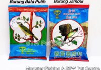 Berikut adalah artikel tentang makanan burung bubut jambul dengan panjang 1600 kata: