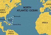 Hewan Aneh yang Hidup di Segitiga Bermuda: Misteri dan Fakta