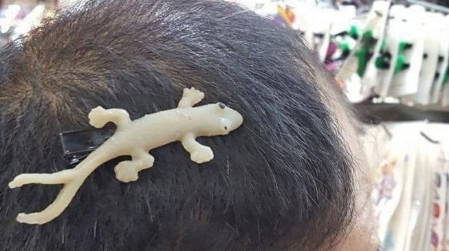 Apakah Cicak Memiliki Rambut?