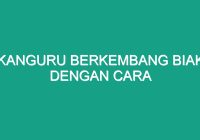 Kanguru Berkembang Biak dengan Cara yang Unik