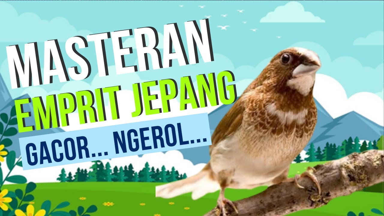 Burung Emprit Jepang Gacor: Panduan Lengkap dan Tips Membuatnya Bernyanyi