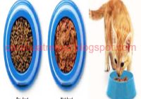 Makanan Basah Kucing Bertahan Berapa Lama? Petunjuk dan Tips untuk Pemilik Kucing