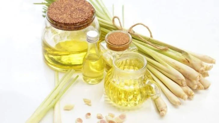 15 Manfaat Serai dan Kandungan Nutrisinya - Best Seller Gramedia