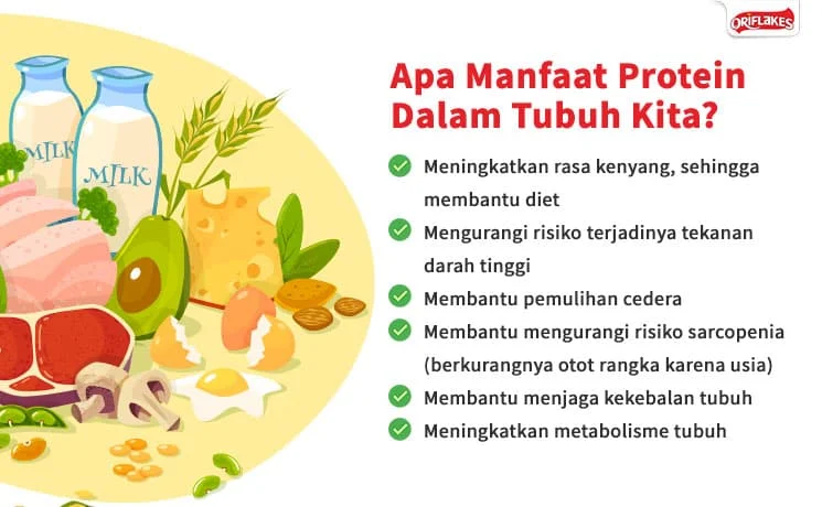 40 Makanan Tinggi Protein Untuk Menjaga Kesehatan Tubuh - Oriflakes