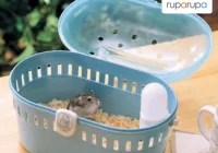 5 Langkah Mudah Membersihkan Kandang Hamster - Blog ruparupa