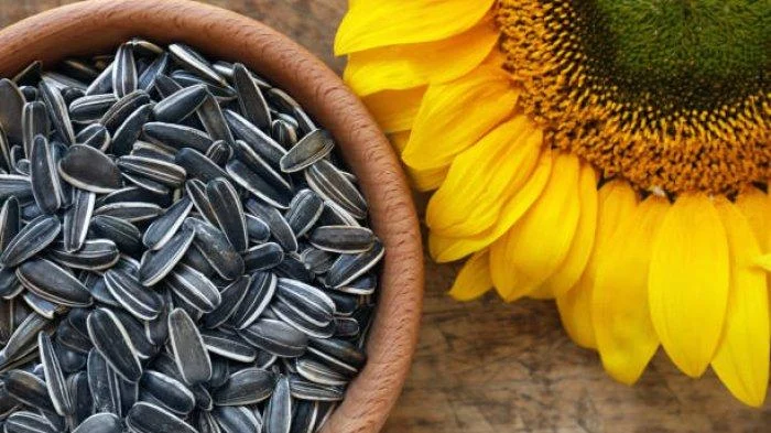 5 Makanan untuk Mendukung Kesuburan, Bisa Dicoba Pasangan yang Sedang