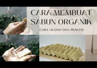 7 Manfaat Tak Terduga Sabun Organik yang Jarang Diketahui