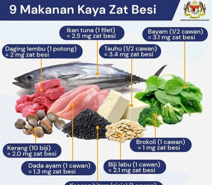 9 Makanan Yang Kaya Zat Besi