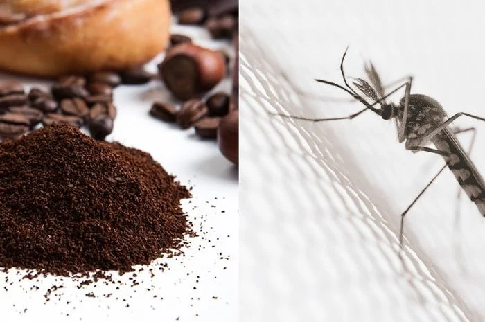 Akhirnya Malam ini Bisa Tidur Nyenyak, Suara Nyamuk Tidak Akan