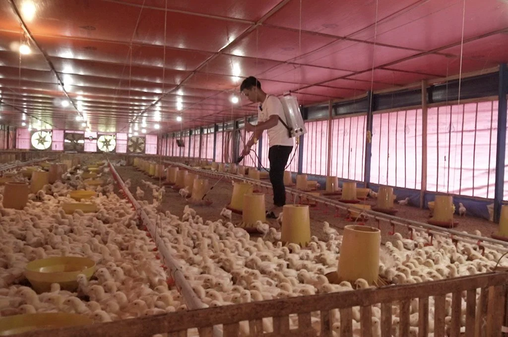 arinta putri floressita