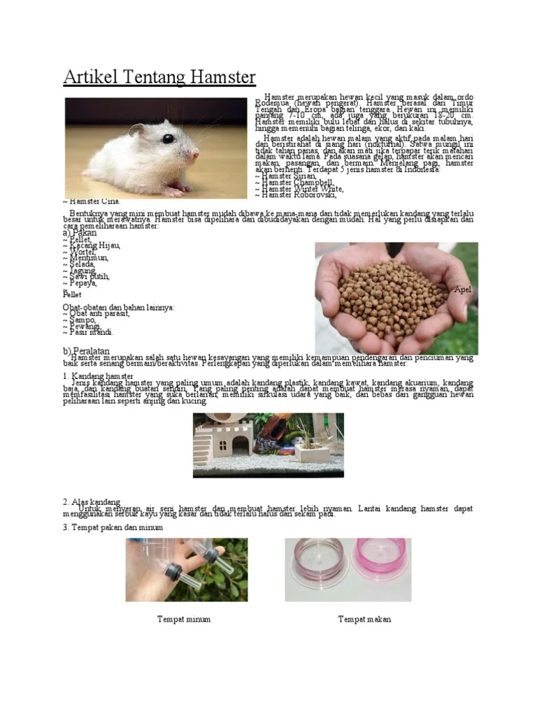 Artikel Tentang Hamster | PDF