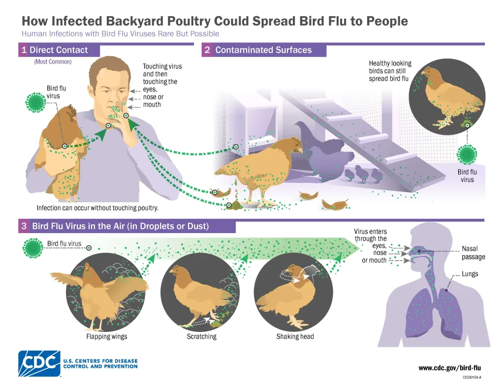 Avian Flu | Maricopa County, AZ