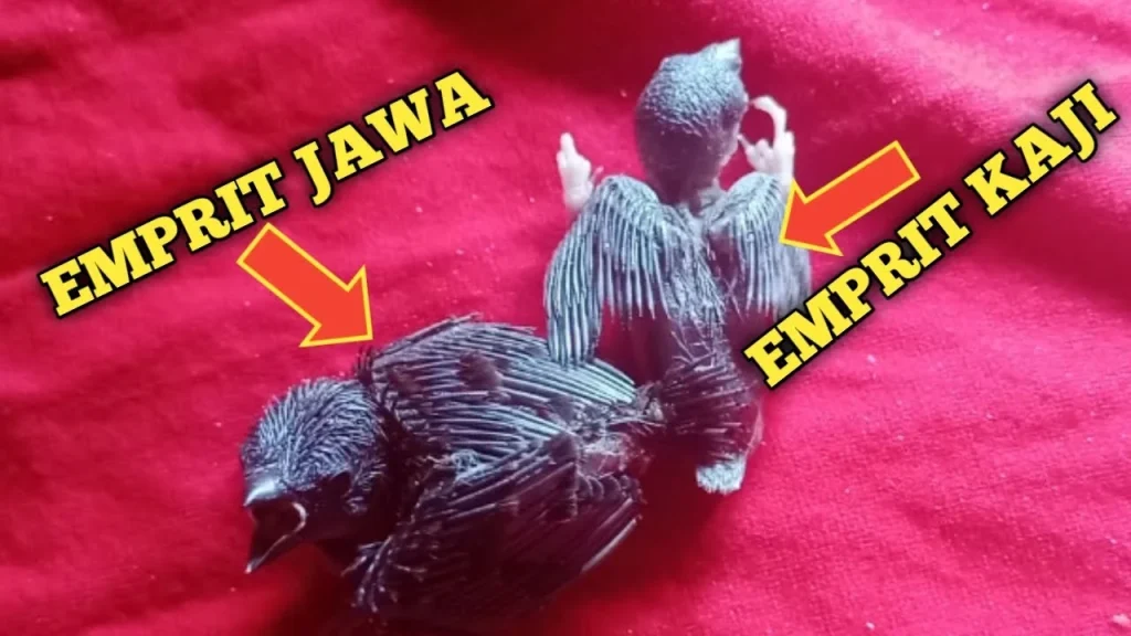 Burung Emprit Kaji: Makan Apa Saja yang Dibutuhkan?