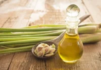 Cara Agar Tidak Digigit Nyamuk Seharian di Rumah terbukti efektif