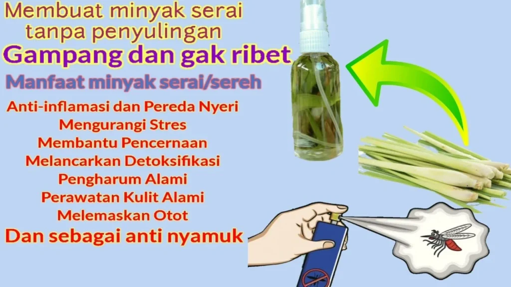 Cara Buat Minyak Serai Sendiri - Joshua Springer