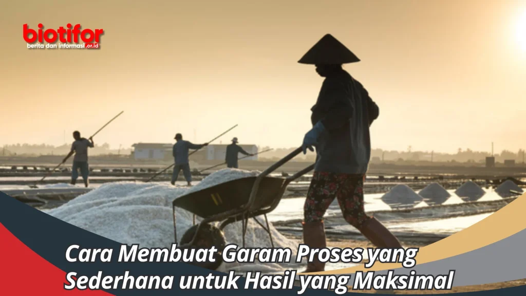 Cara Membuat Garam Proses yang Sederhana untuk Hasil yang Maksimal