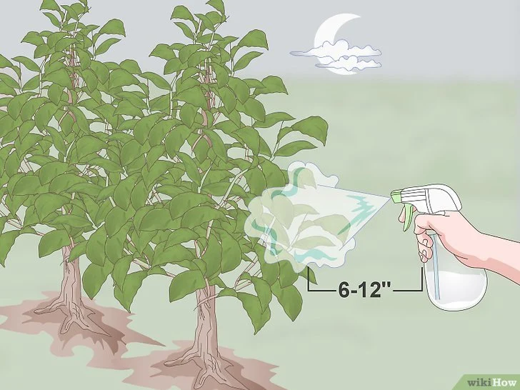 Cara Membuat Obat Semprot Tanaman dari Bawang Putih - Saran Pakar wikiHow