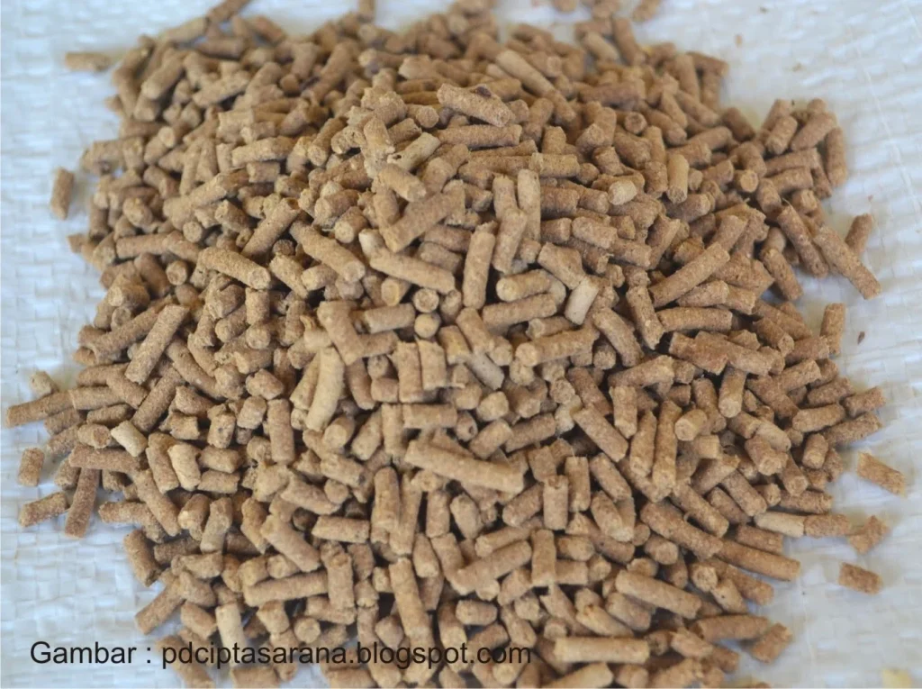 CARA MEMBUAT PAKAN BUATAN UNTUK TERNAK IKAN - IKAN DAN LAUT