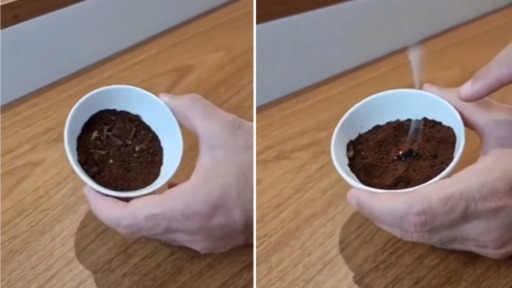 Cara Mengusir Nyamuk dengan Kopi, Ampuh dan Efektif!