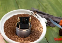 Cara Mengusir Nyamuk dengan Kopi Tips Ampuh dan Alami