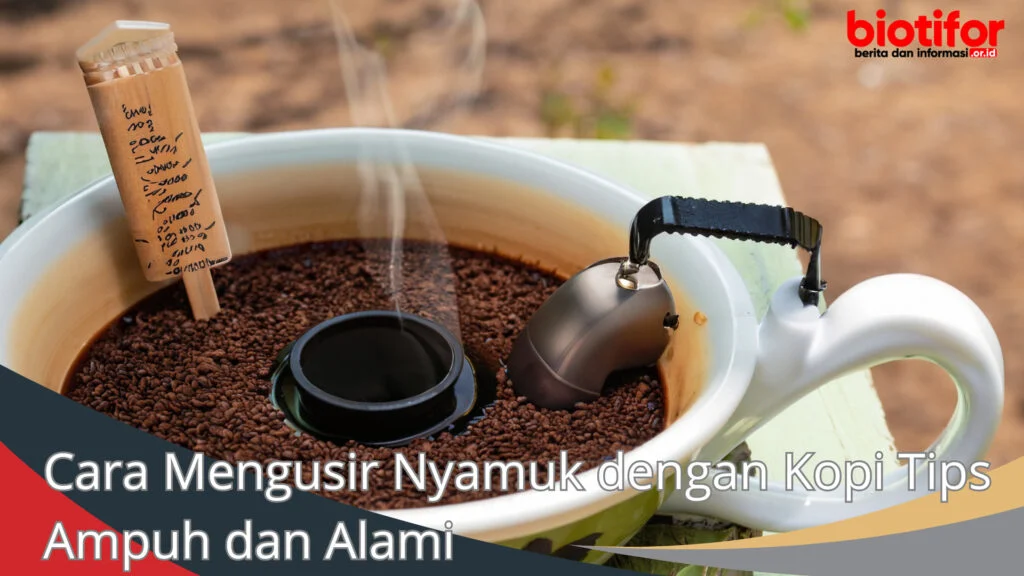 Cara Mengusir Nyamuk dengan Kopi Tips Ampuh dan Alami