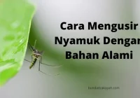 Cara Praktis Mengusir Nyamuk