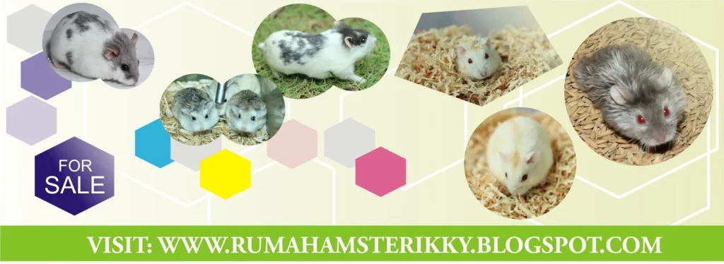 Dasar Genetika | Jual Peralatan , Perlengkapan , dan Aksesoris Hamster