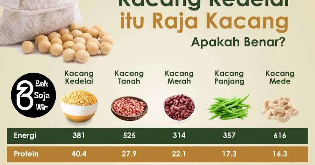 Ensiklopedia Lengkap Kacang Kedelai