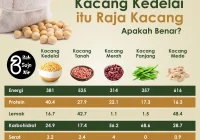 Ensiklopedia Lengkap Kacang Kedelai