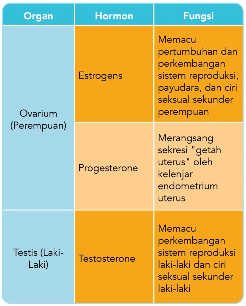 Fisiologi sistem glandula endocrina